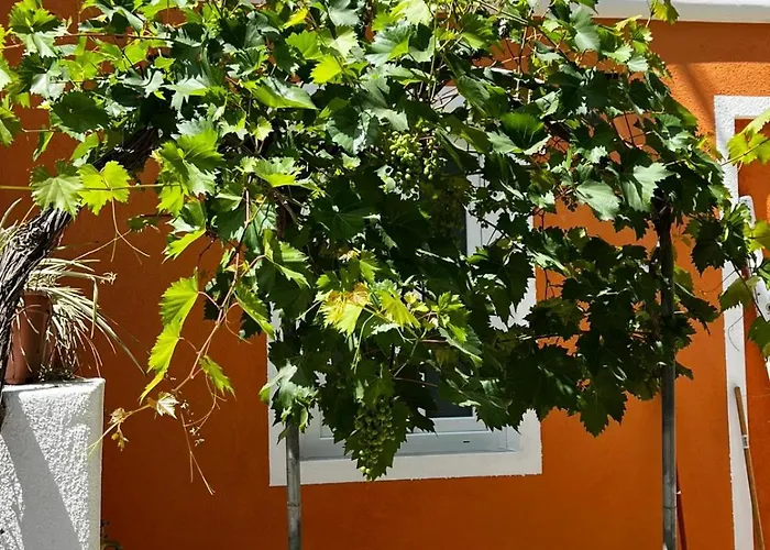 Casa Del Pozzo - Ferienhaus Marina di Campo