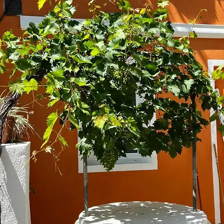 Casa Del Pozzo - Feriehus Marina di Campo